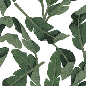 Meet your Posher, Shelby